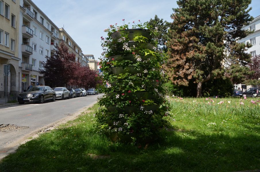 xDSC_6053.jpg