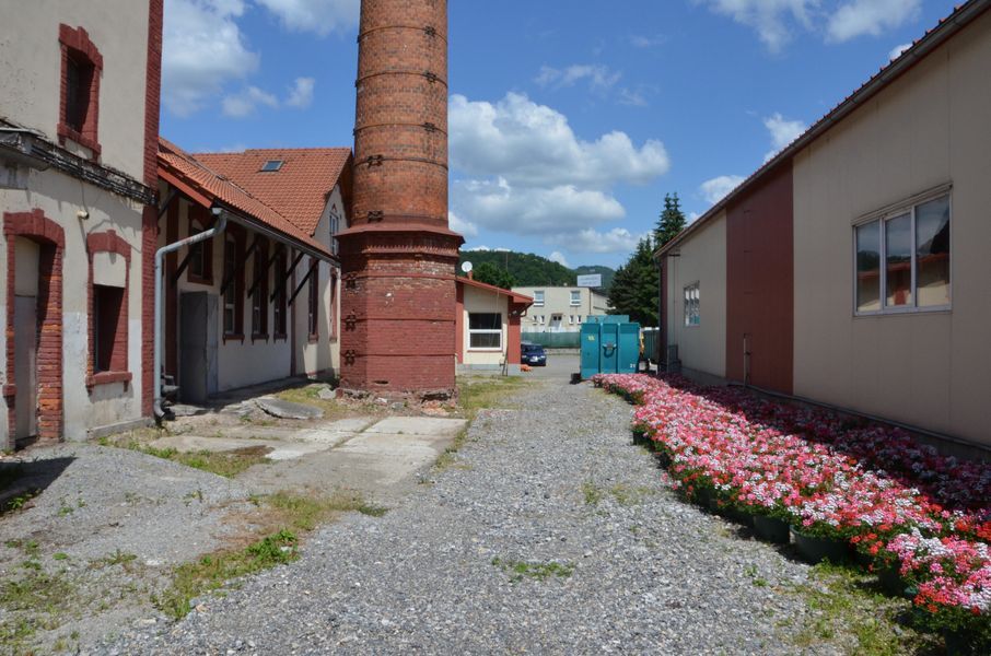 xDSC_8108.jpg