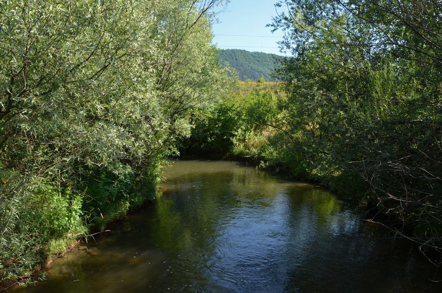 xDSC_8141.jpg
