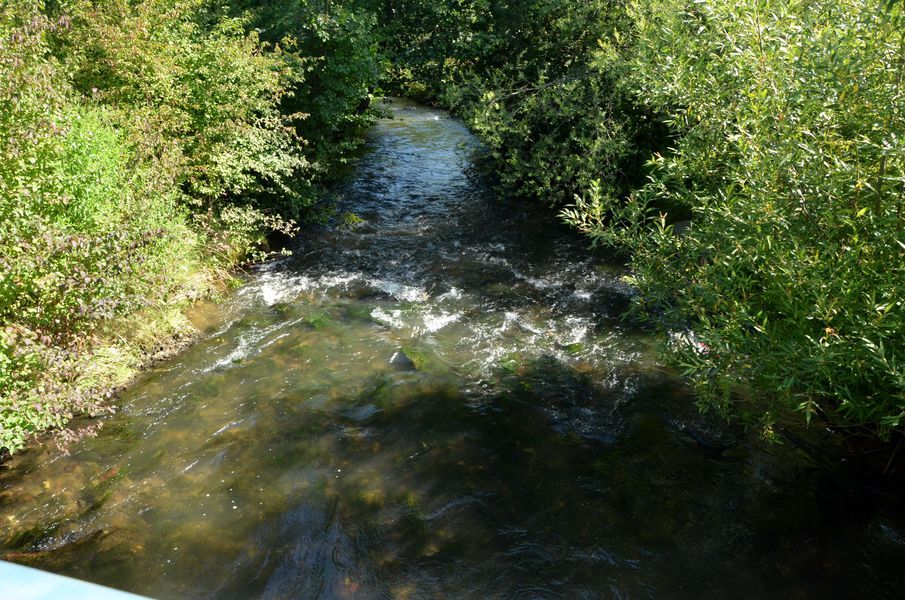 xDSC_8146.jpg