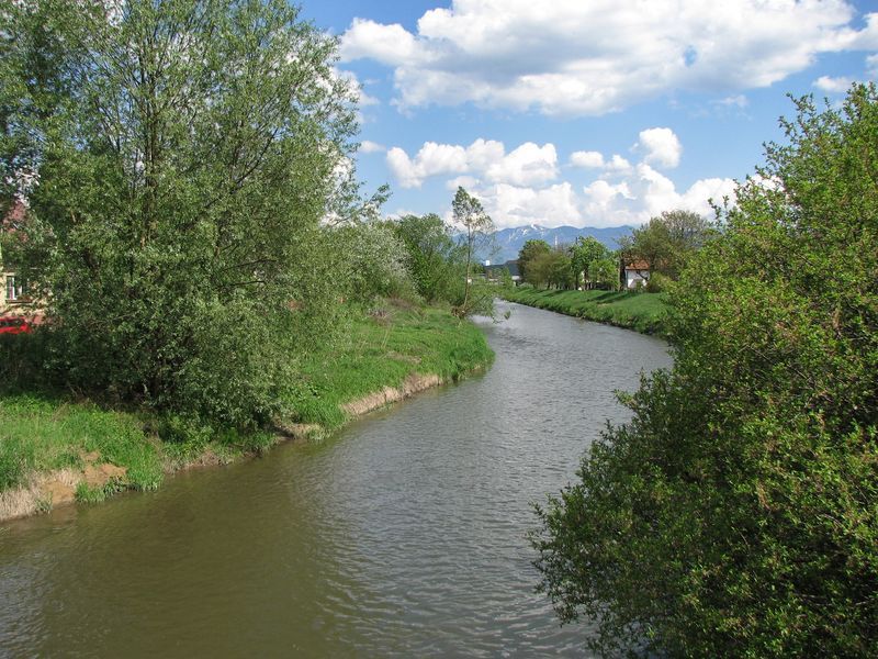 xIMG_4489.jpg