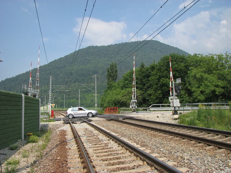 xIMG_8214.jpg