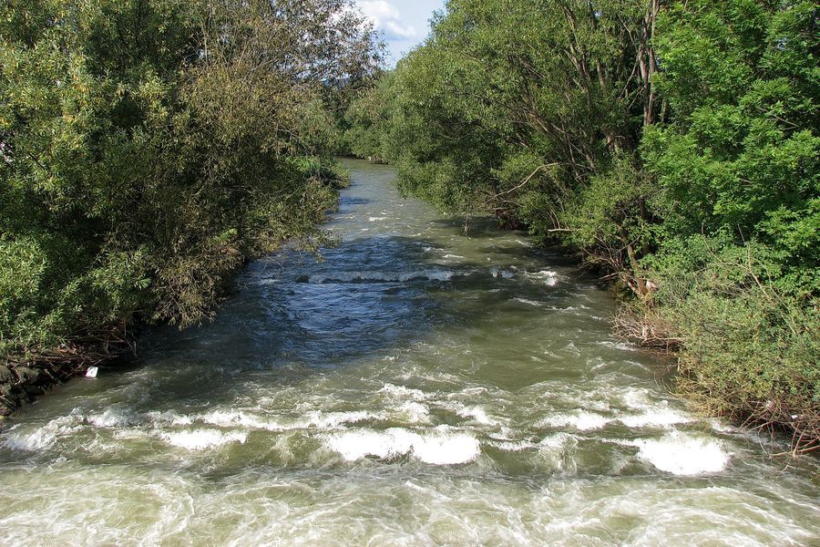 xIMG_8415.jpg