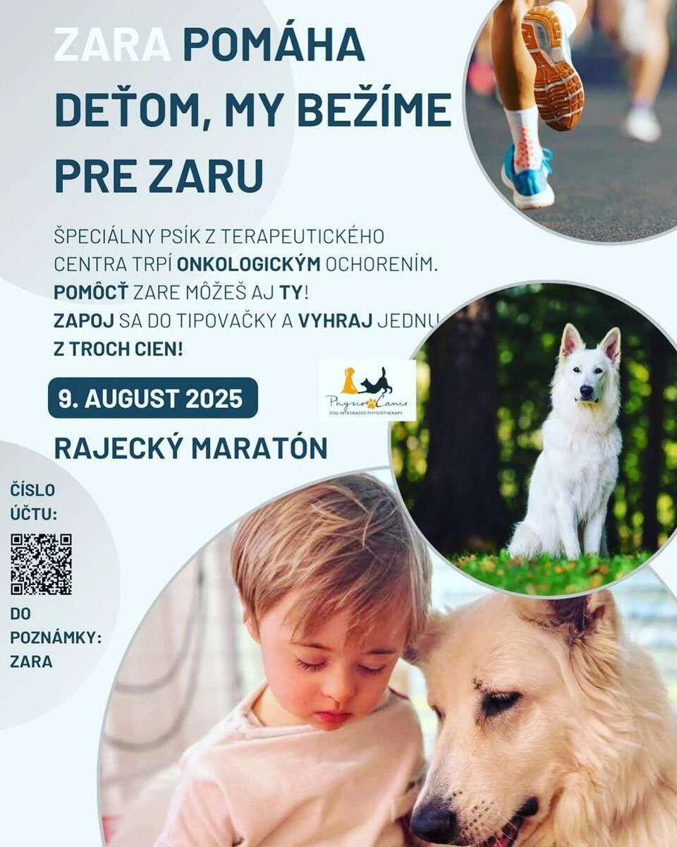 zara-psik-plagat.jpeg